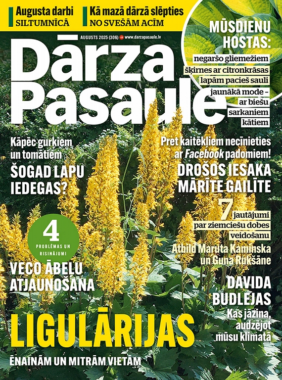 Dārza Pasaule, augusts 2025