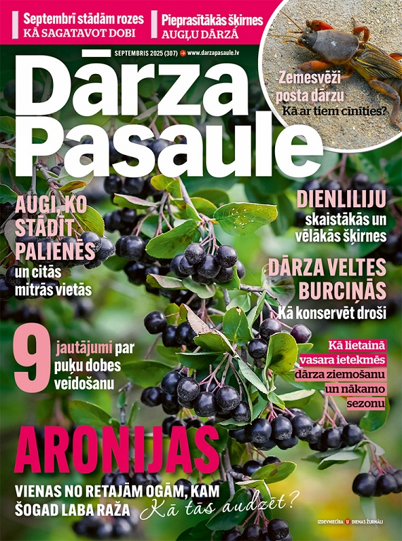 Dārza Pasaule, septembris 2025