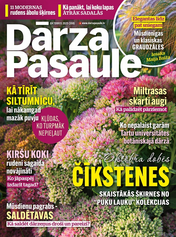 Dārza Pasaule, oktobris 2025