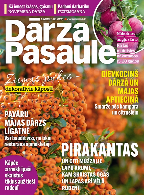 Dārza Pasaule, novembris 2025