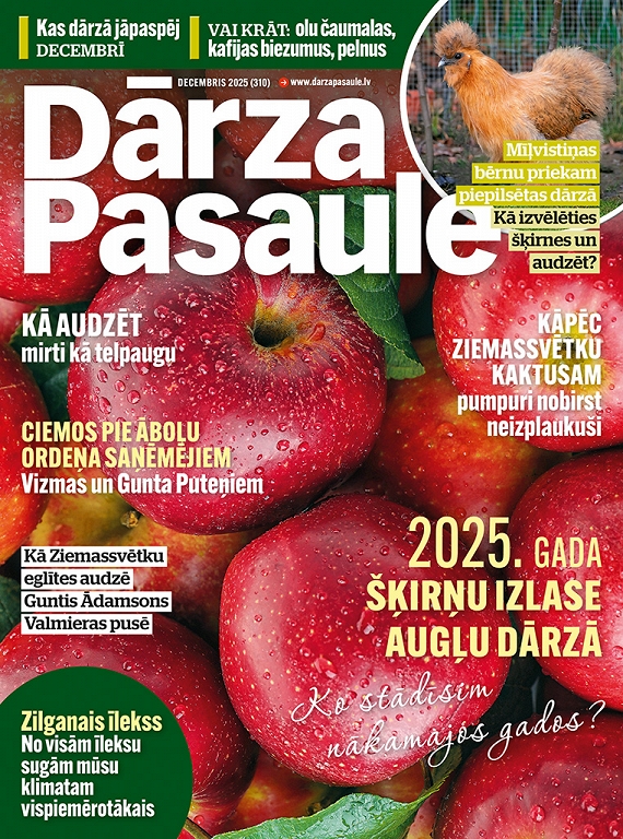 Dārza Pasaule, decembris 2025