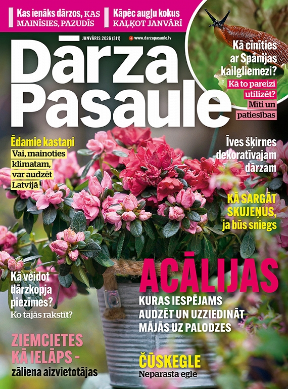 Dārza Pasaule, janvāris 2026