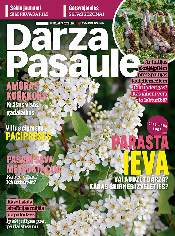 Dārza Pasaule, februāris 2026