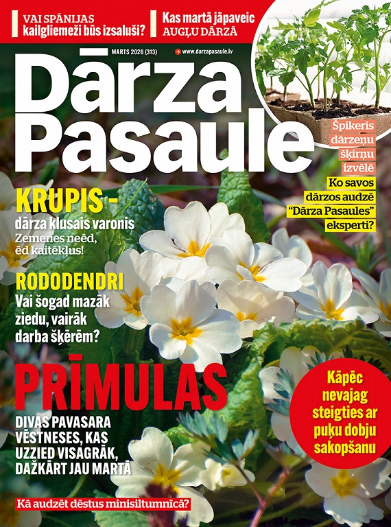 Dārza Pasaule, marts 2026