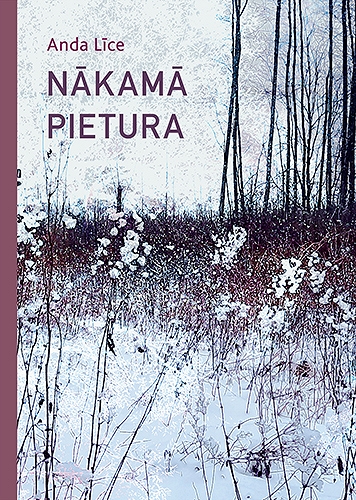 NĀKAMĀ PIETURA